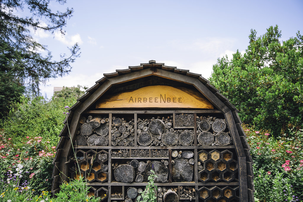 Air Bee N Bee in Neighborhood | ZO Oakland Apartments
